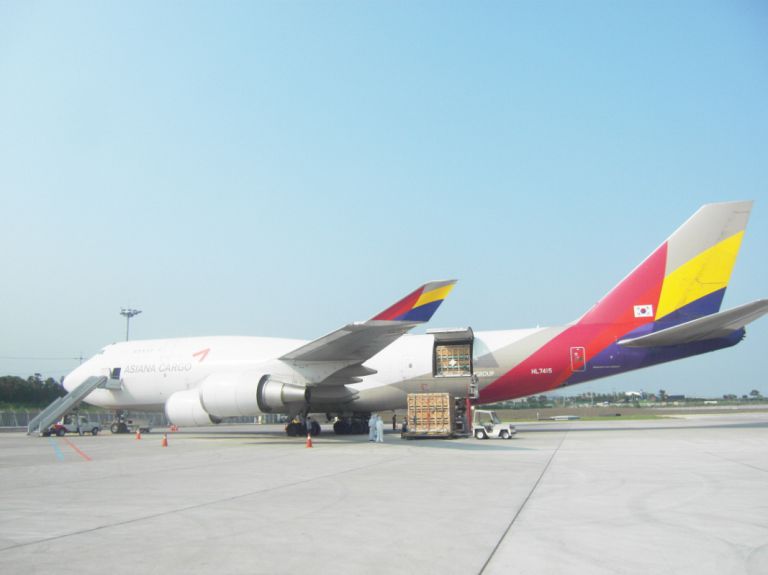 공항수입돼지수송