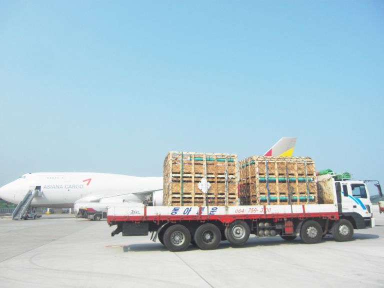 공항 수입 돼지수송