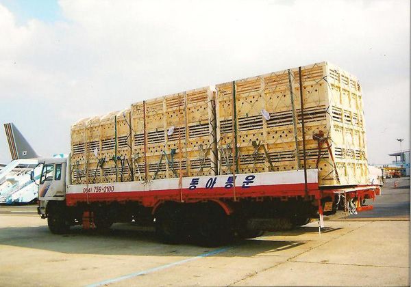 항공화물(공항작업)