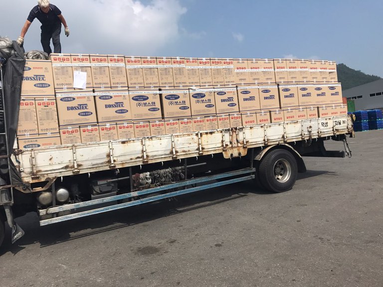 천장재 작업사진(4장)