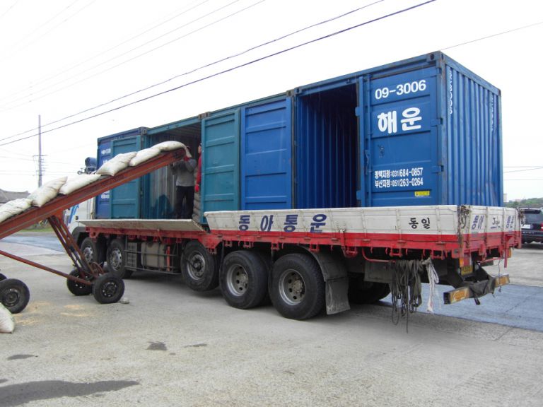 우도 맥주보리출고현장