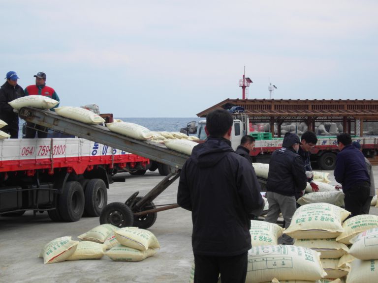 가파도 농산물작업